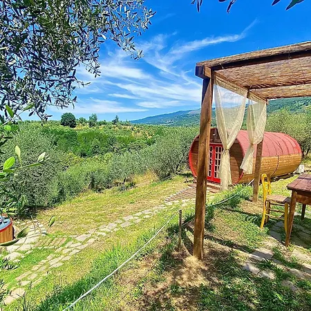 Le Botti Fiorentine