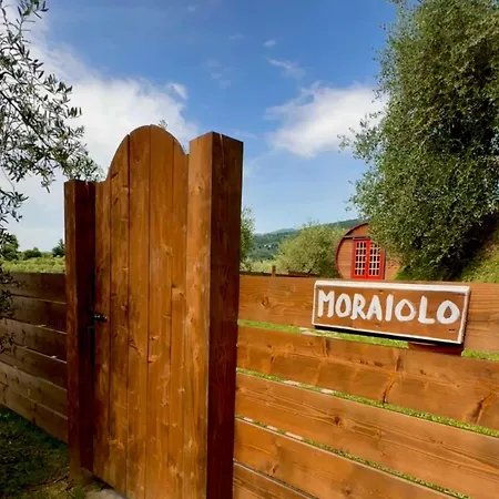 Le Botti Fiorentine Reggello