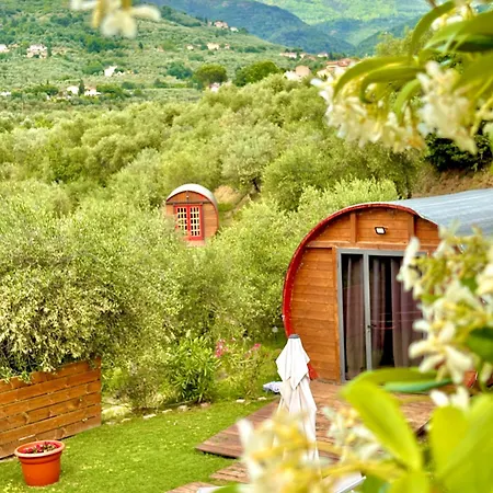 Le Botti Fiorentine *